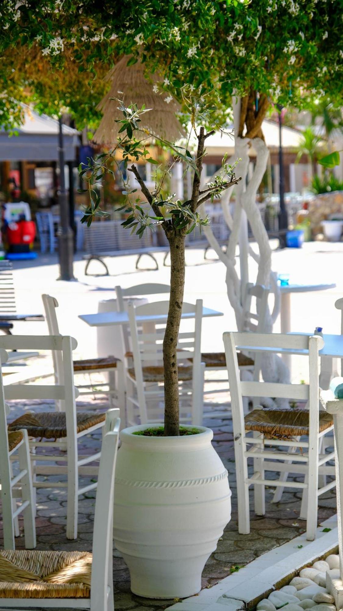 Cocoon Hotel-Beach Bar Sarti Exteriör bild