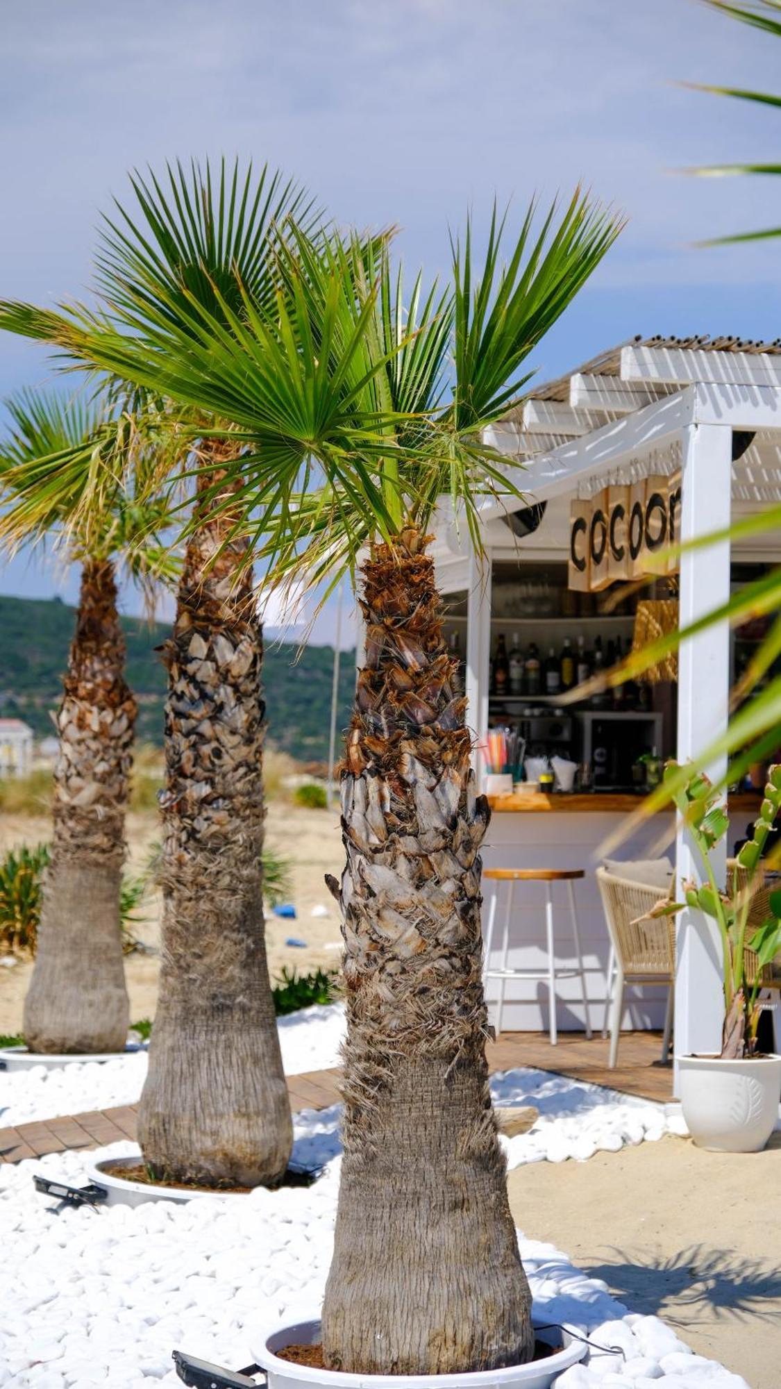 Cocoon Hotel-Beach Bar Sarti Exteriör bild